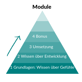 Gefühlsregulation der Kinder verstehen und Kinder unterstützen
