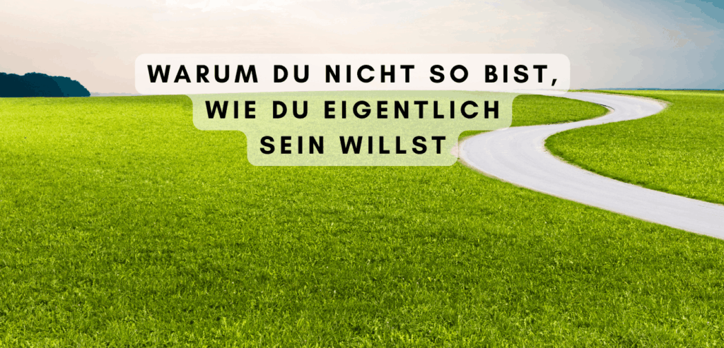 Einflüsse auf die Identität